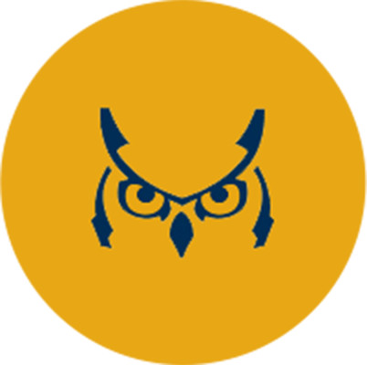 sunwise capital owl logo