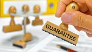 What Are Guaranteed Business Loan Programs?